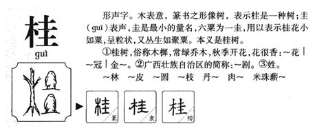 桂的造詞|桂的意思，桂字的意思